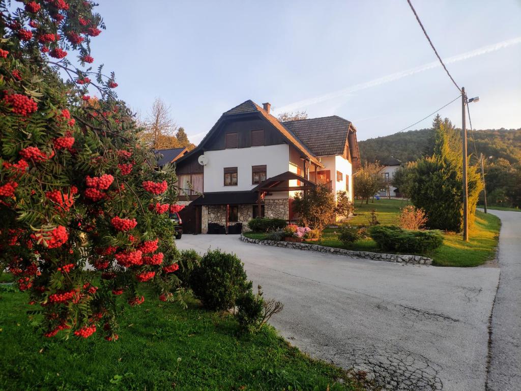 a house with red roses on the side of a road at Apartments Poljanak in Poljanak