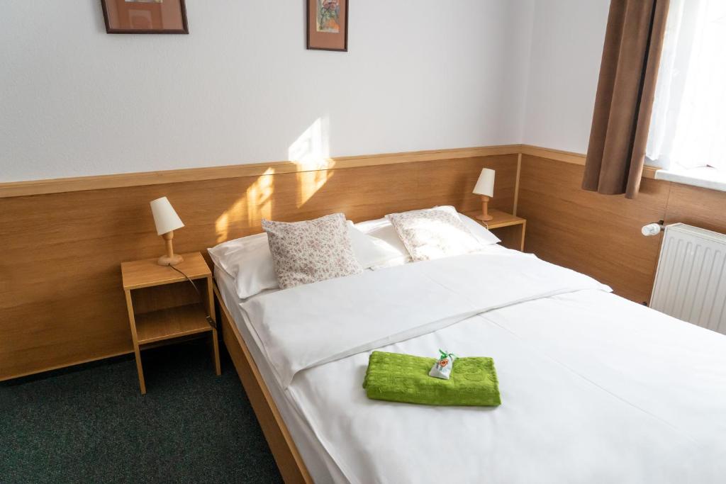 Hotel Beskid - Single Room