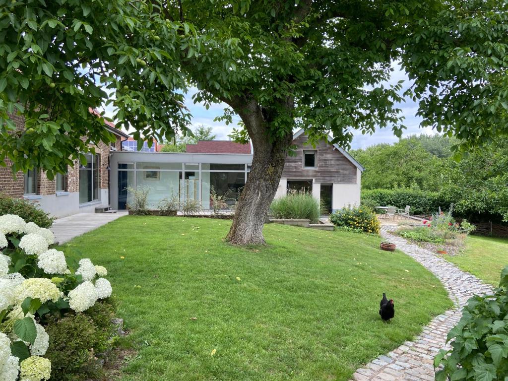 Eine schwarze Katze sitzt im Gras vor einem Haus. in der Unterkunft Wolfshaegen 180 in Huldenberg