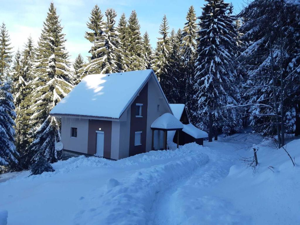 une maison recouverte de neige dans une forêt dans l'établissement Studio MK, à Kopaonik