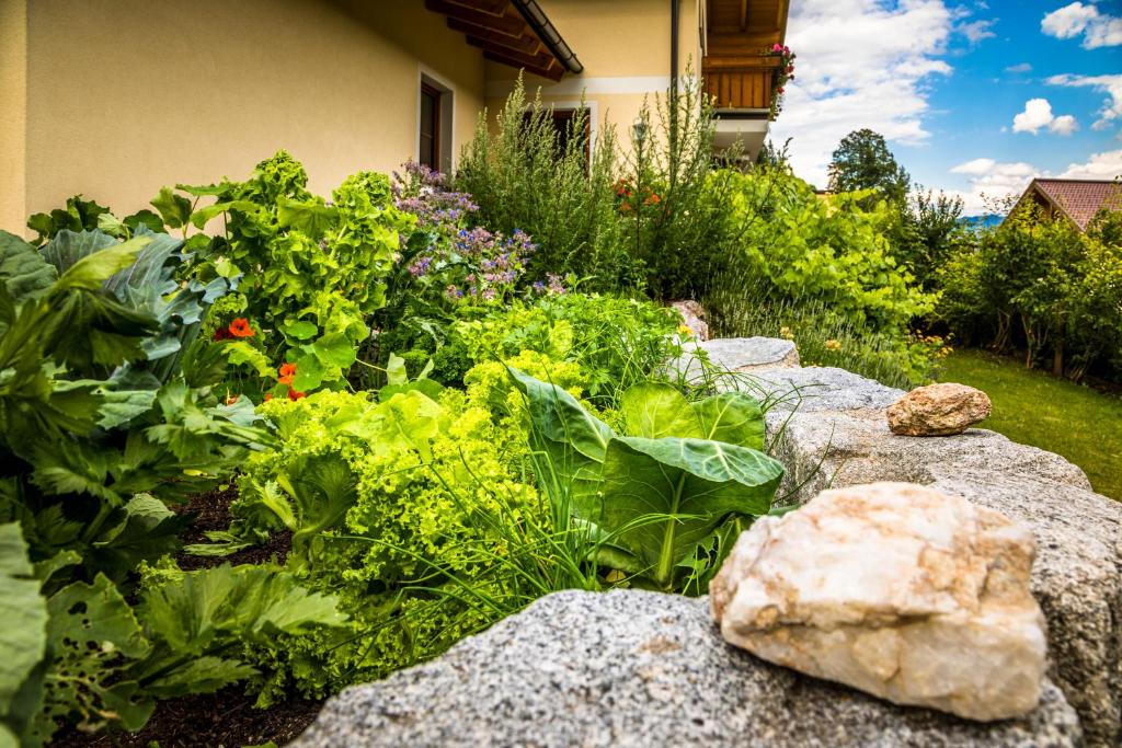 Zahrada ubytování Appartments Jandlbauer