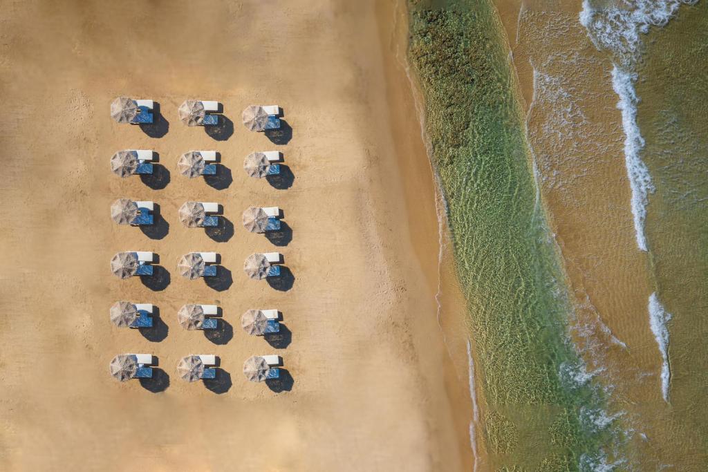 een overzicht van een groep olifanten op het strand bij Akrogiali Beach Hotel Apartments in Malia