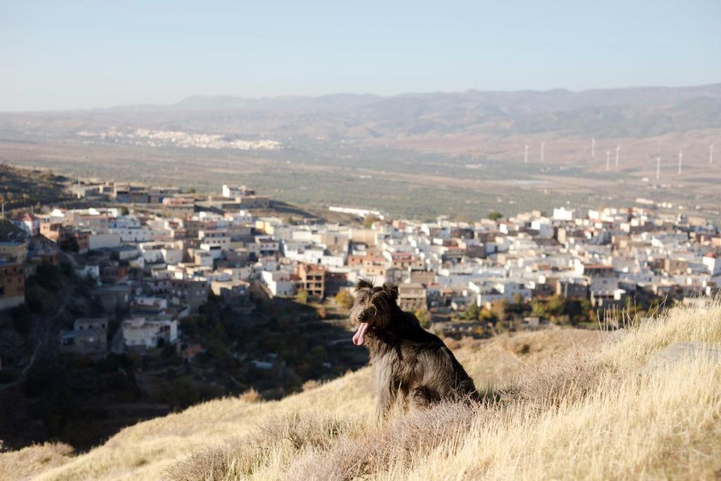 La flecha hostel, Abrucena – Precios actualizados 2022