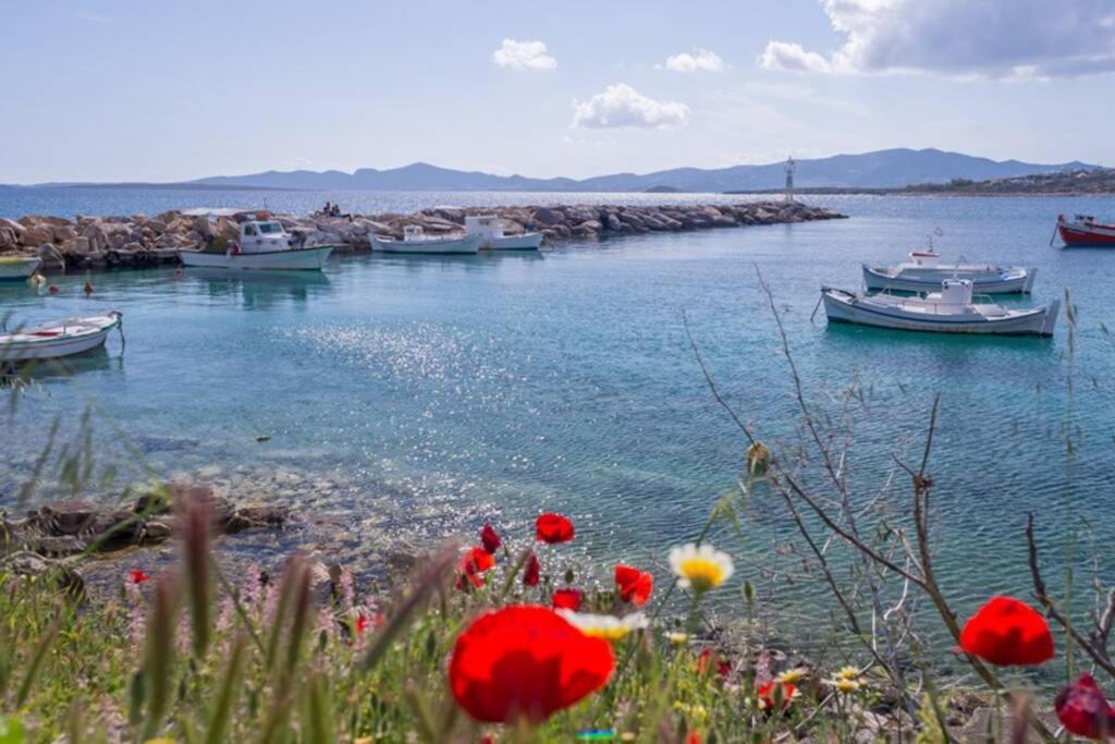 Φυσικό τοπίο κοντά σε αυτή η παραθεριστική κατοικία
