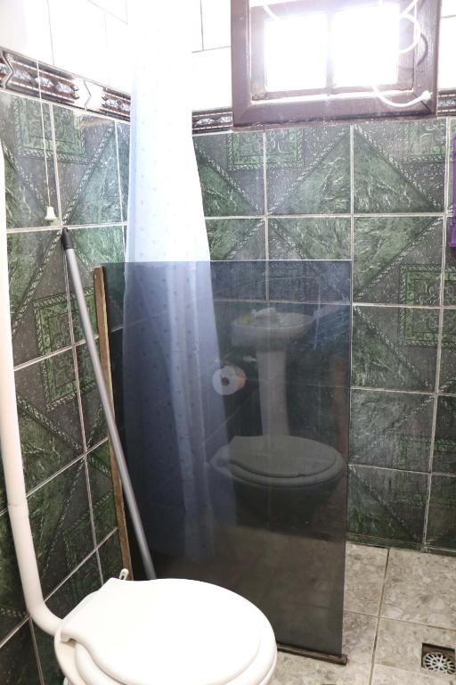  Moradas flor da vida