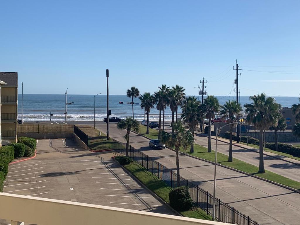 een uitzicht op een strand met palmbomen en de oceaan bij Dockside Daze! in Galveston