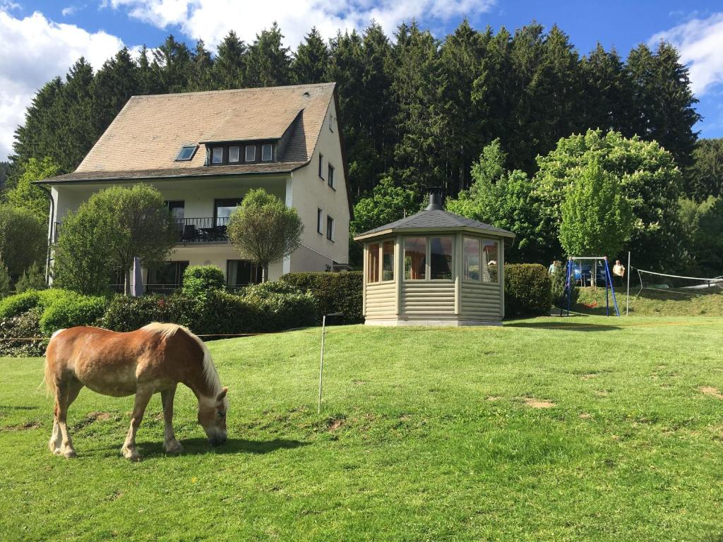 ein Pferd, das auf einem Feld vor einem Haus weidet in der Unterkunft Landhaus Mettenberg in Niedersalwey