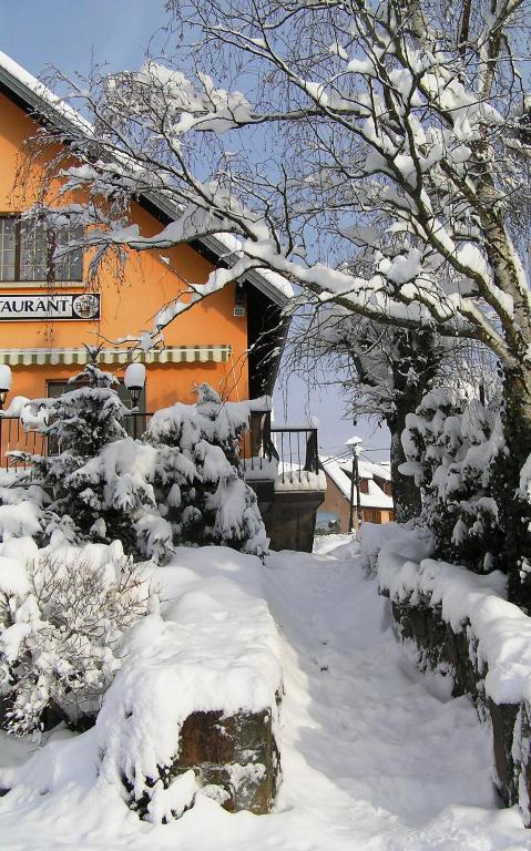 A L'ARBRE VERT HOTEL-RESTAURANT - Prices & Reviews (Wintzfelden, France)