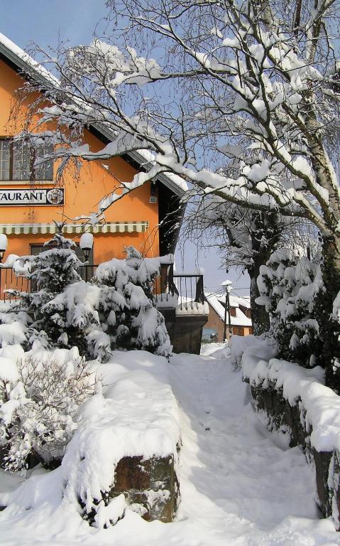 A l'Arbre Vert v zimě