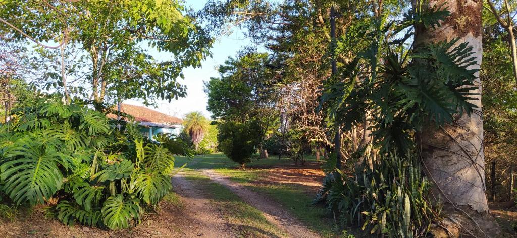  Camping São Pedro - Diamantina