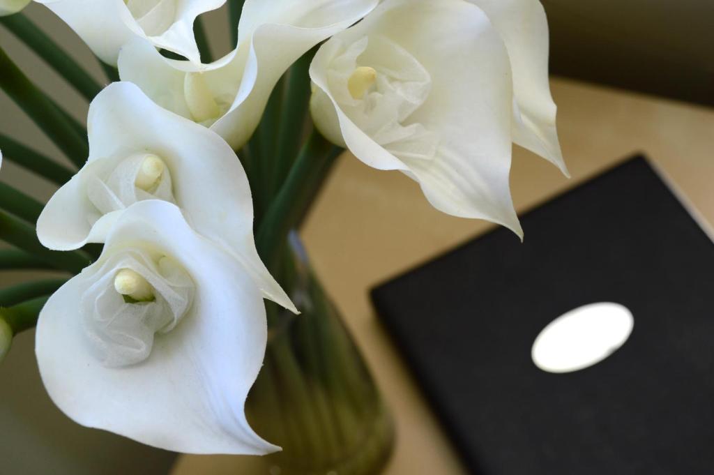 Birches Serviced Apartments - Resim 16