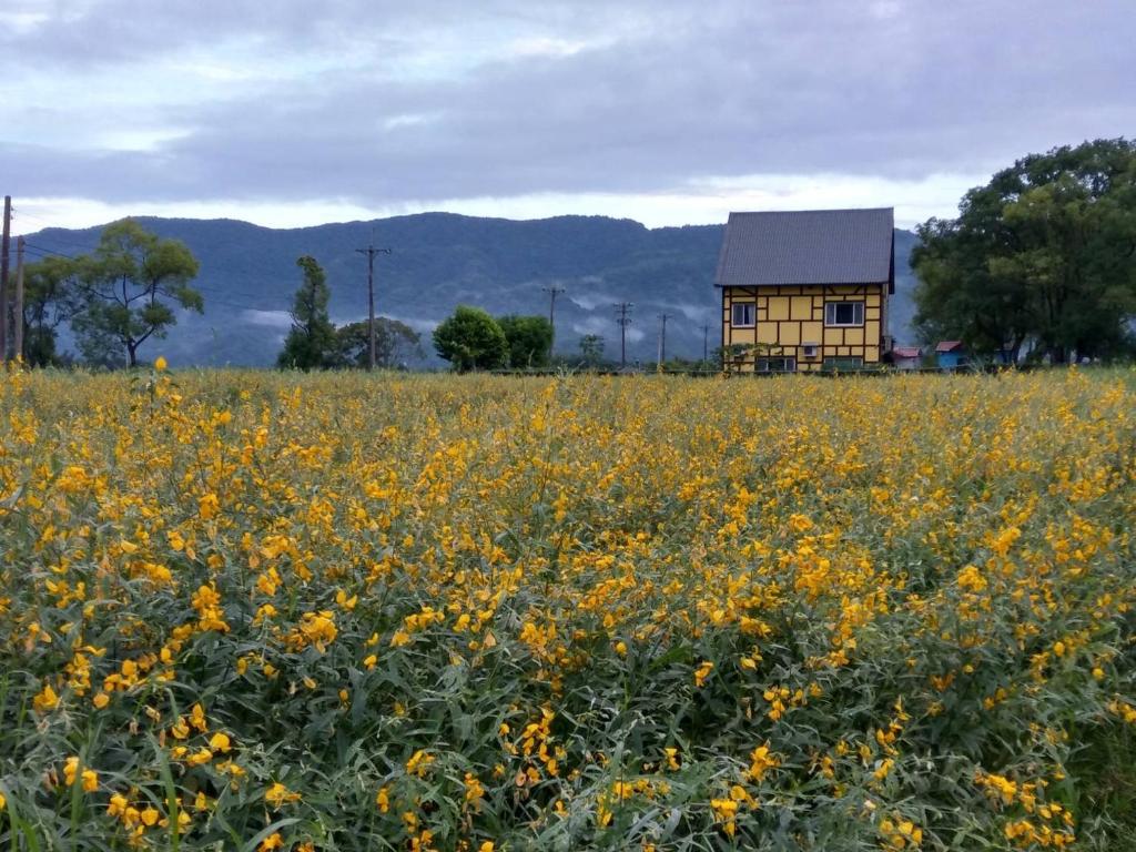 &#x5C71;&#x666F;&#x6216;&#x5F9E;&#x6C11;&#x5BBF;&#x62CD;&#x7684;&#x5C71;&#x666F;