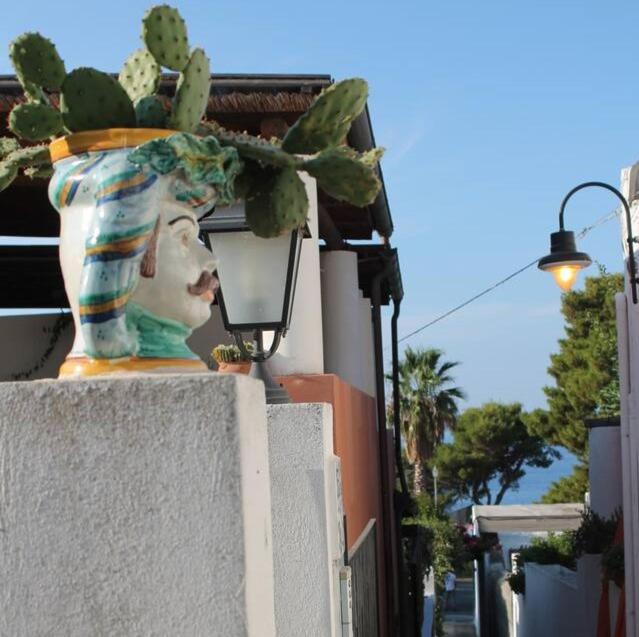 a plant in a vase sitting on a wall at Casa Didime, al centro di Malfa a soli 600 mt dalla spiaggia in Malfa