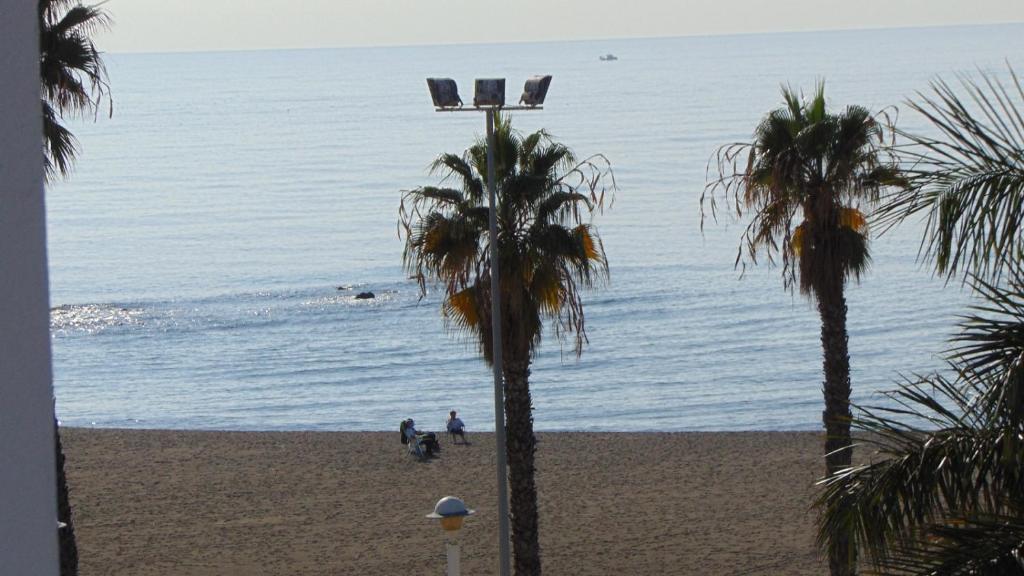 vistas a una playa con palmeras y al océano en Terrasol Pirámides Puerto Blanco, en Caleta de Vélez
