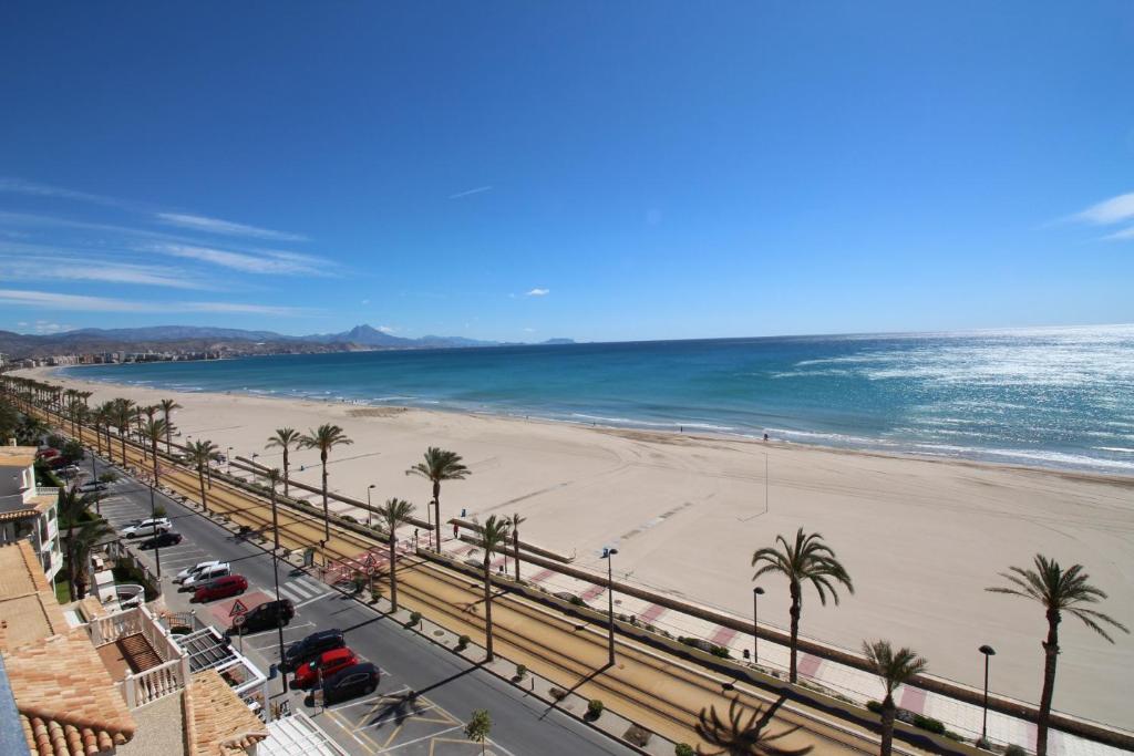 Blick auf einen Strand mit Palmen und das Meer in der Unterkunft Loft Playa Muchavista in Benimagrell