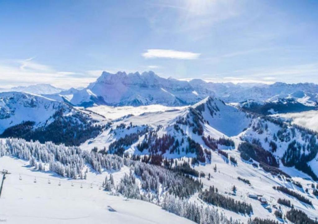 レ・クロゼにあるHôtel des Portes du Soleilの雪山の景色を望むスキーリフト付
