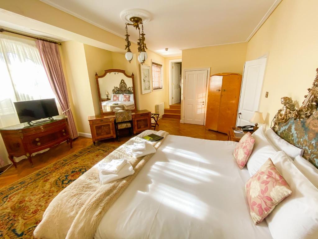 
Superior Suite ( Not Dog Friendly)
