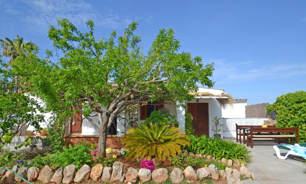 un jardín con un árbol y flores frente a una casa en Idyllic finca in Puerto Pollensa, en Puerto Pollensa