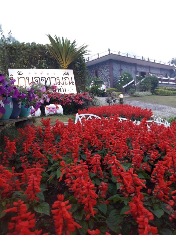 Baan Chuthamanee - отзывы и видео