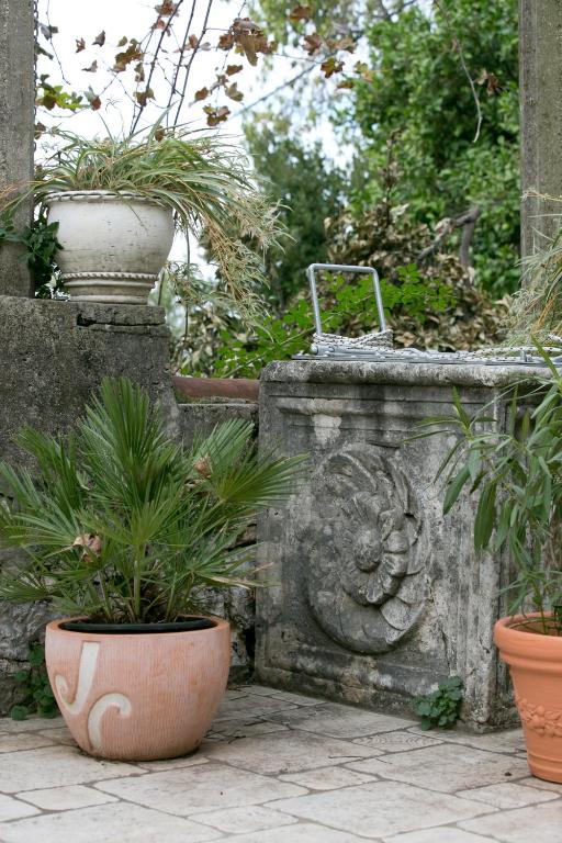 Zahrada ubytování Villa Bona Dubrovnik