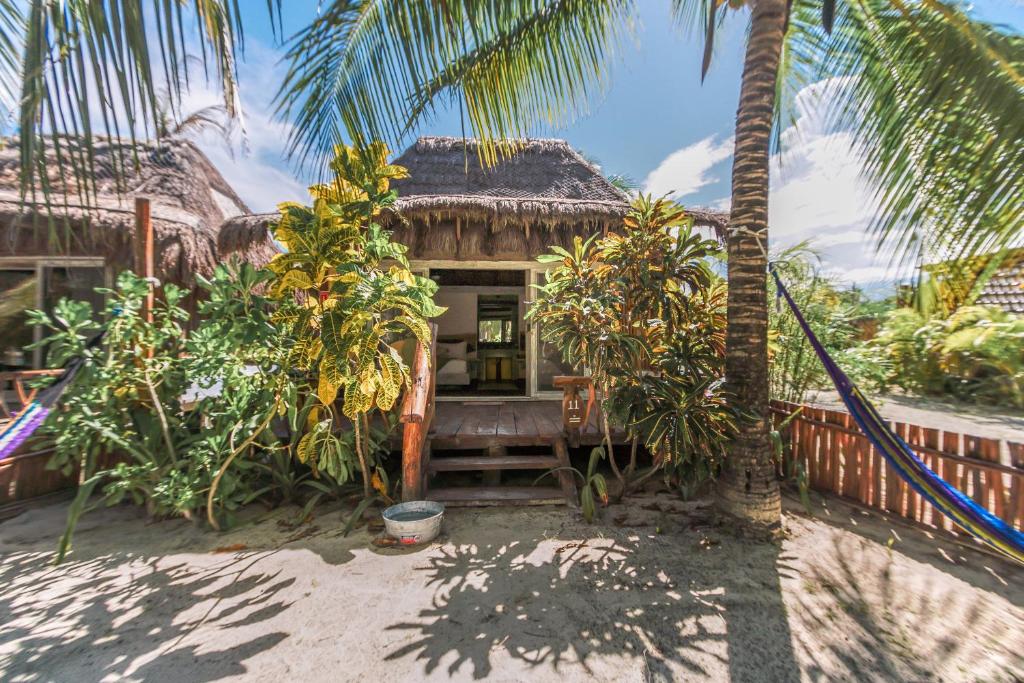 Сад в Villa Pescadores Tulum-Beachfront hotel by Ahau Collection