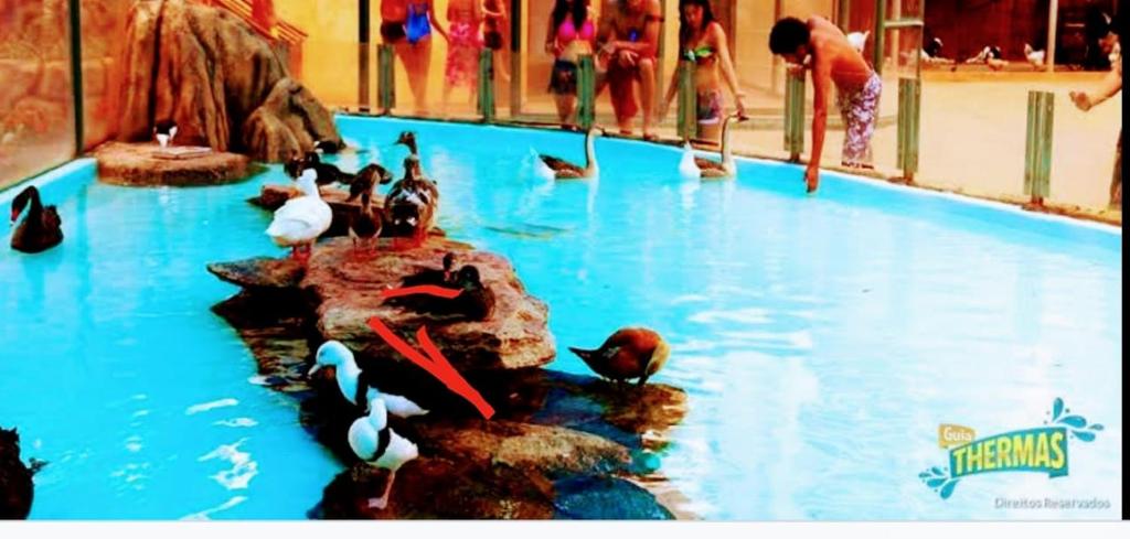  Enjoy Olimpia Park Resort