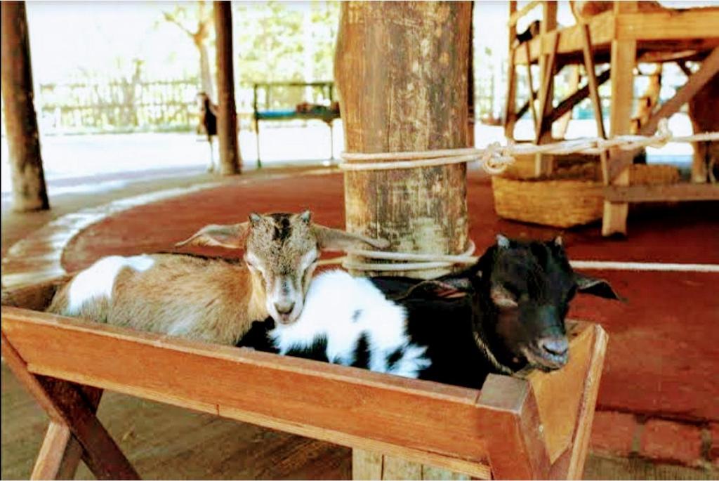  Enjoy Olimpia Park Resort