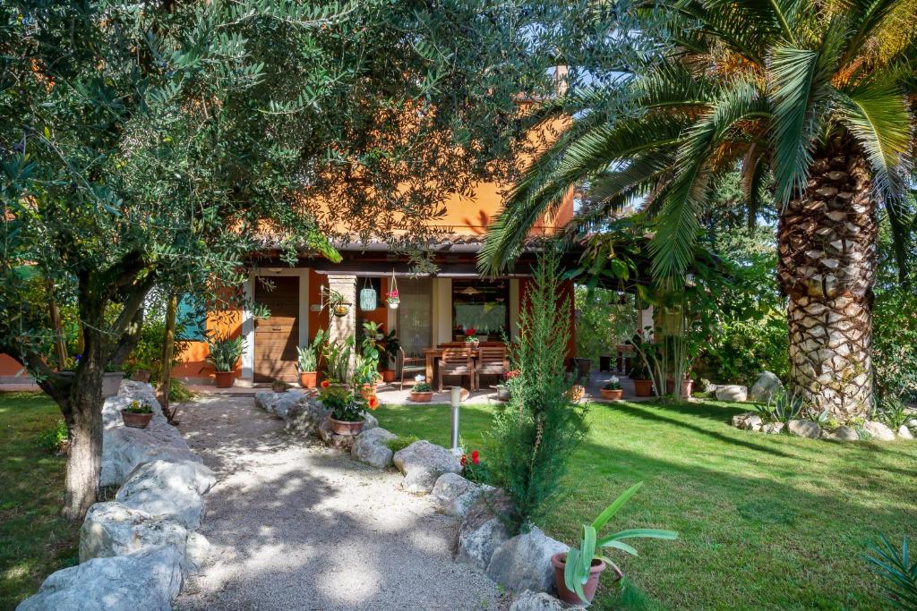 una casa con una palma nel cortile di B&B LA GRADINA a Osimo