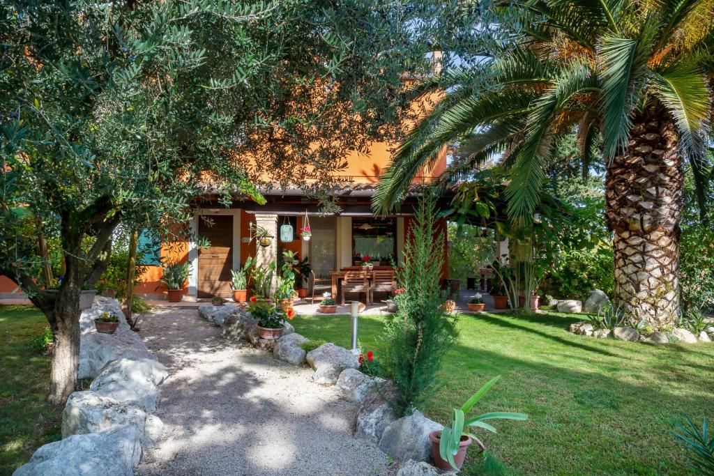 dom z palmą w ogrodzie w obiekcie B&B LA GRADINA w mieście Osimo