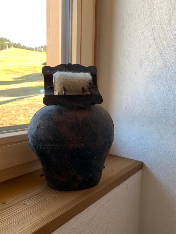 Foto sihtkohas Sankt Gallenkirch asuva majutusasutuse Chalet RelaxAlp Garfrescha galeriist