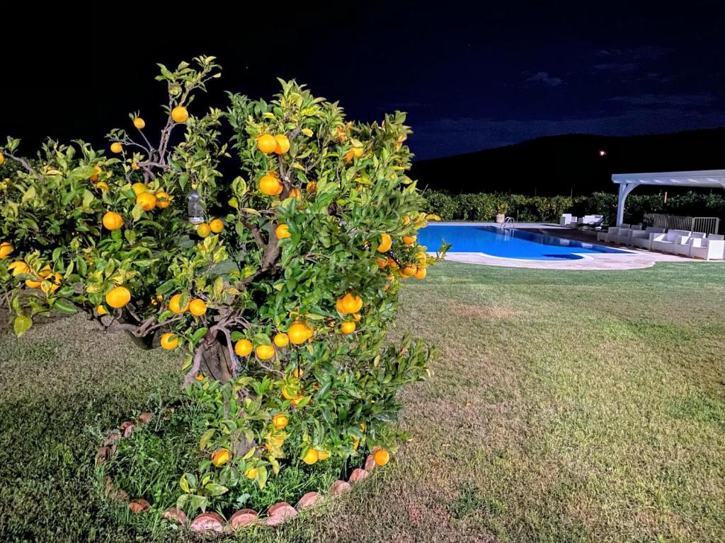 Bazén v ubytování Agriturismo Trappeto Vecchio nebo v jeho okolí