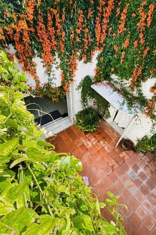 Zahrada ubytování Casa Canario Hostel