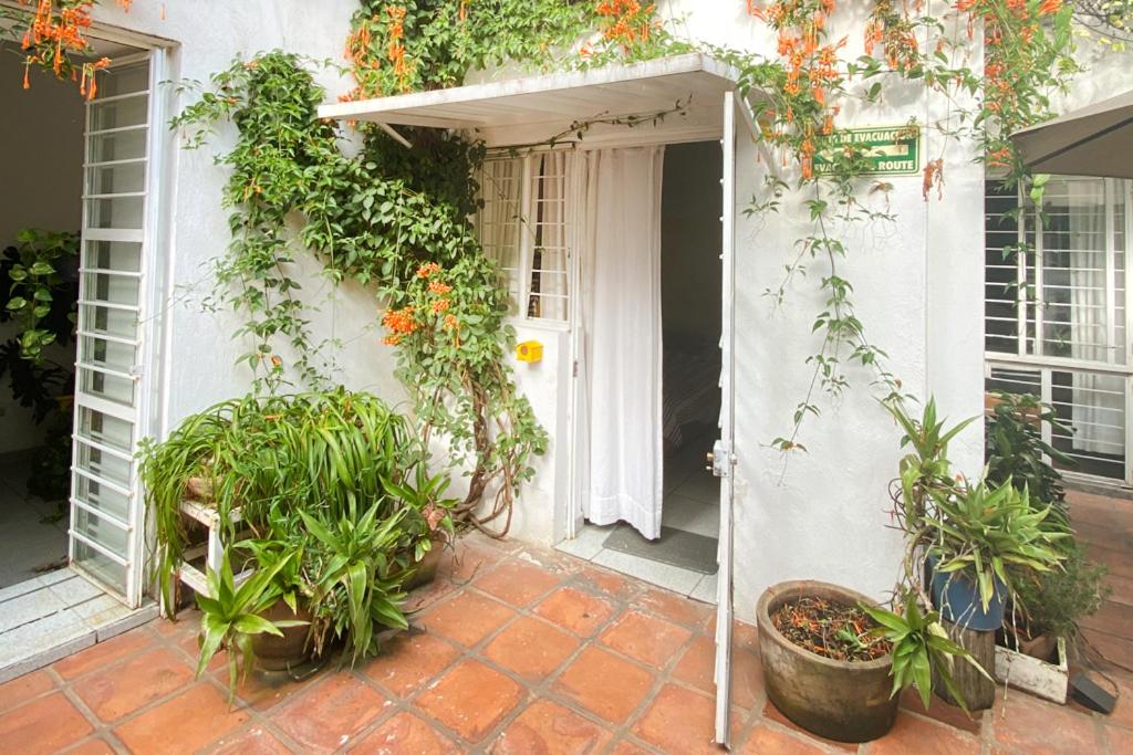 Zahrada ubytování Casa Canario Hostel