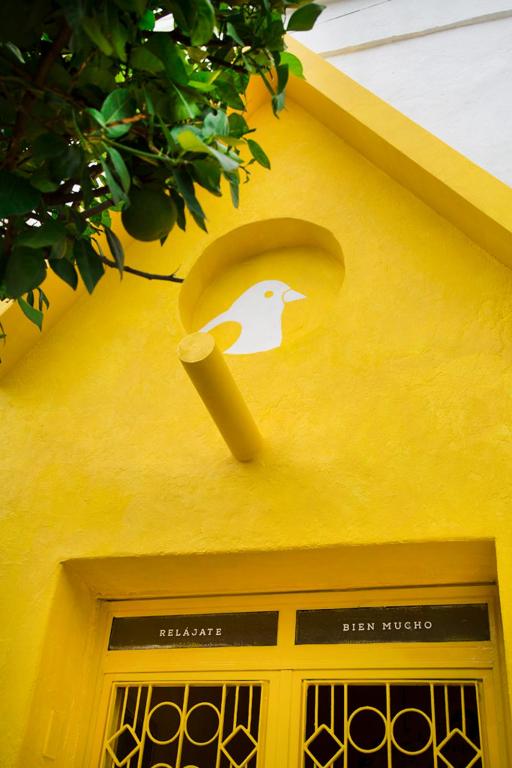 Fotografie z fotogalerie ubytování Casa Canario Hostel v destinaci Guadalajara
