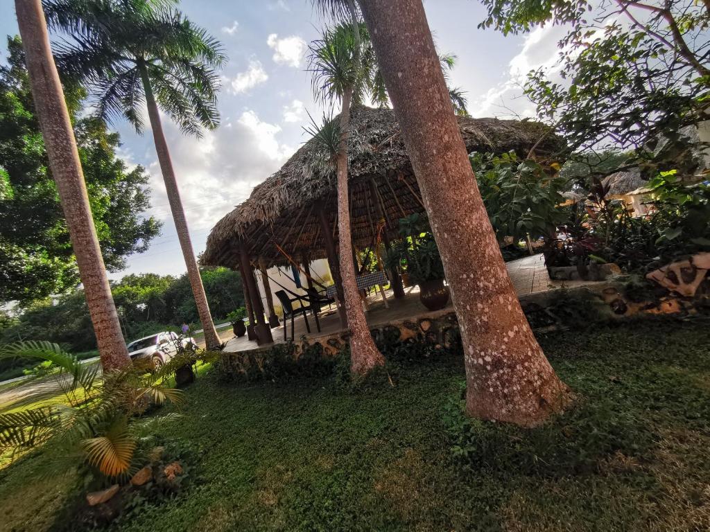 Jardí fora de Hotel Doralba Inn Chichen