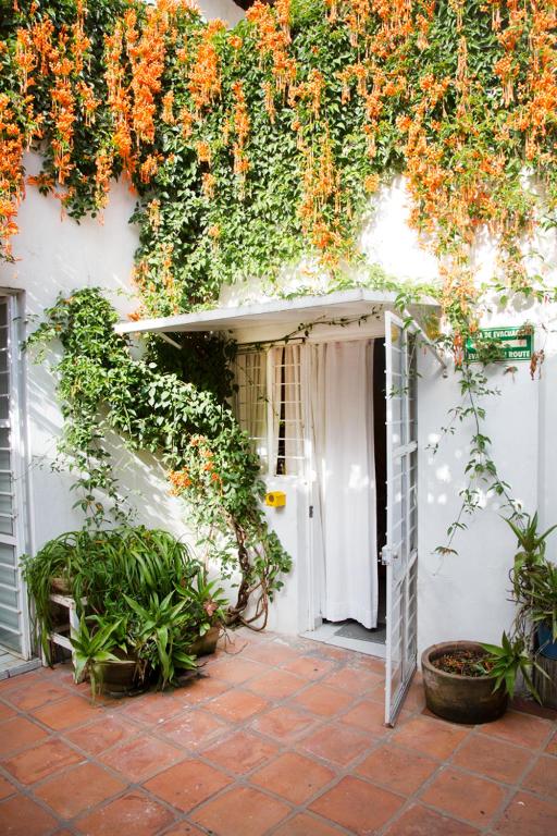 Zahrada ubytování Casa Canario Hostel