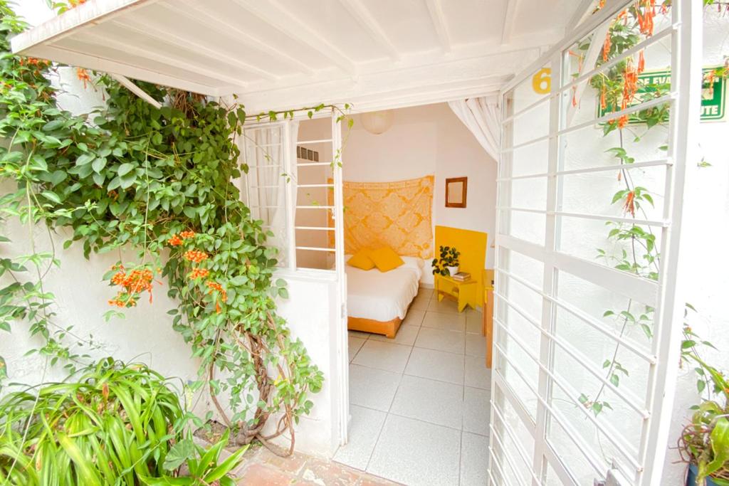 Zahrada ubytování Casa Canario Hostel