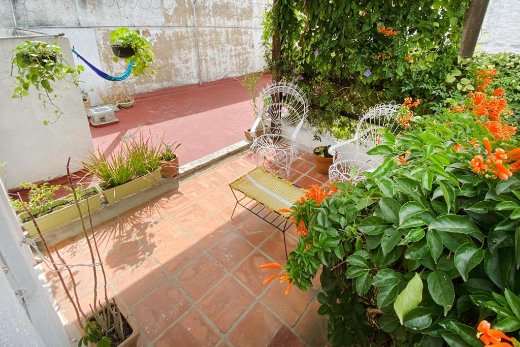 Zahrada ubytování Casa Canario Hostel