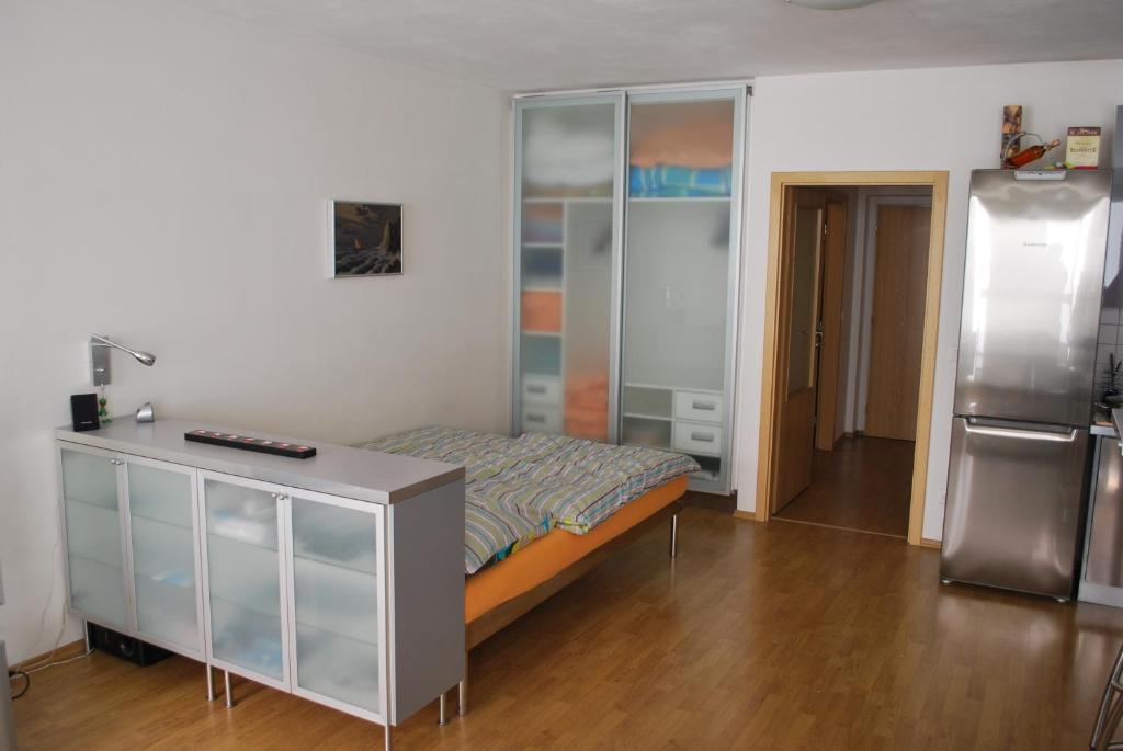 Kuchnia lub aneks kuchenny w obiekcie Chotěšovská Apartment with Parking Place