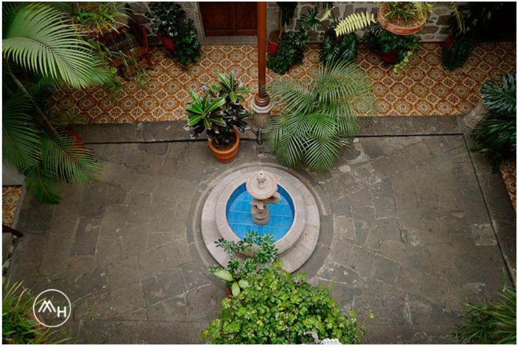 Zahrada ubytování Hotel Atilanos
