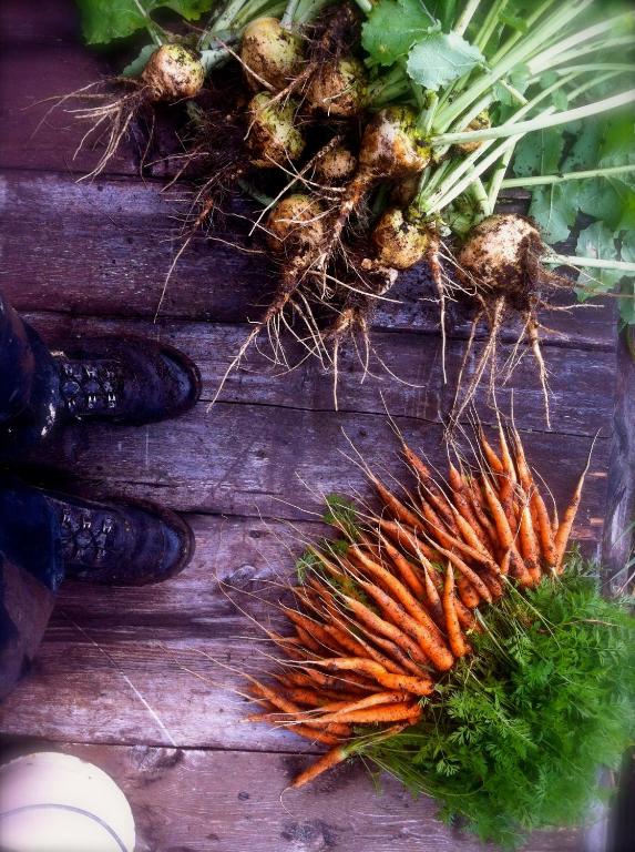 Fotografie z fotogalerie ubytování Skoogs Logi - Rum v destinaci Funäsdalen