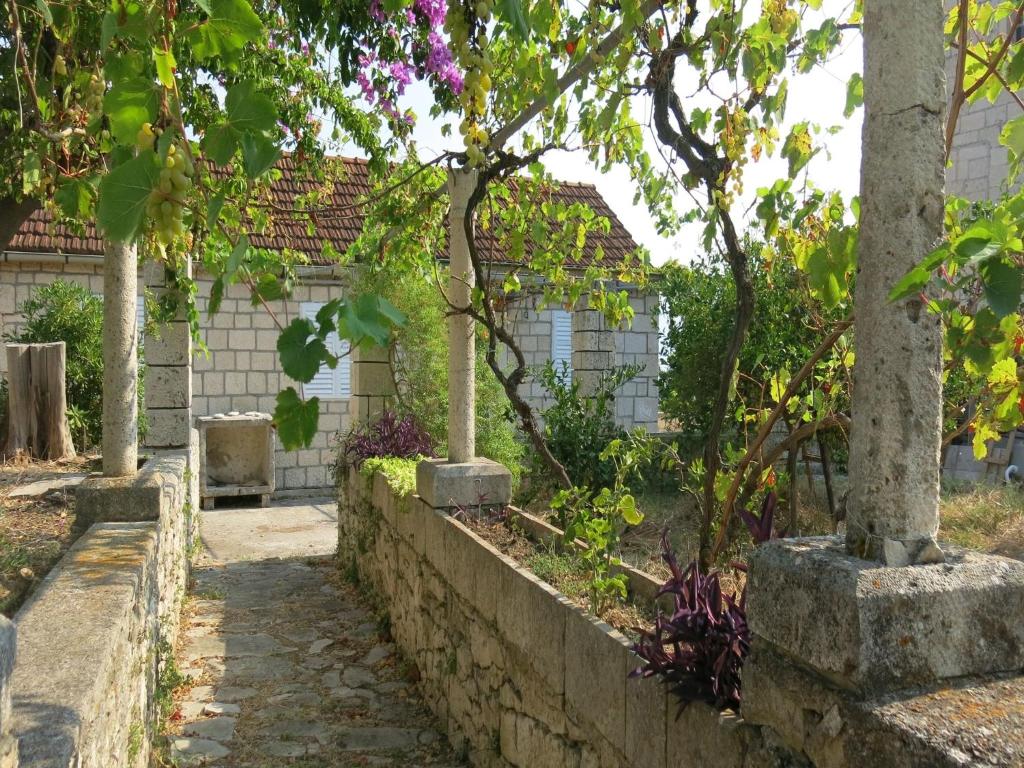 Zahrada ubytování Authentic island house with nice sea view