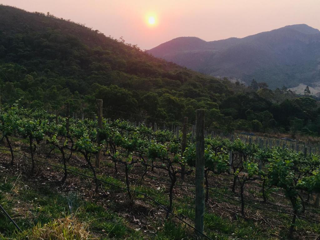  Herdade Viela