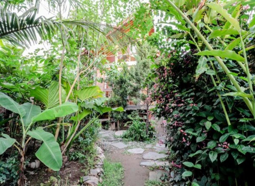 Zahrada ubytování Lorong Homestay