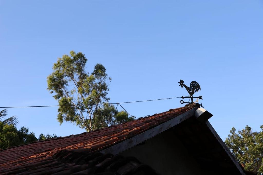  Sítio Recanto da Botija