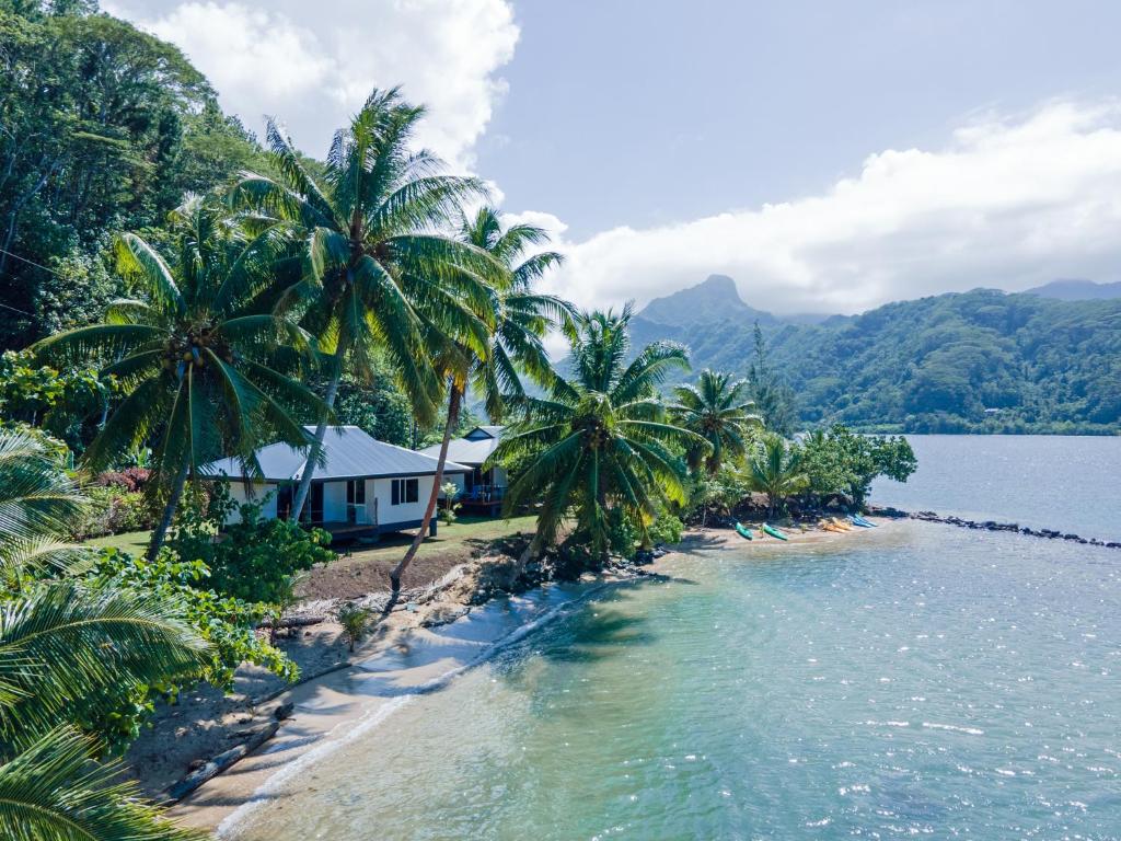 einen Strand mit Palmen und ein Haus am Wasser in der Unterkunft Le Neliza Beach Lodge Raiatea in Opoa