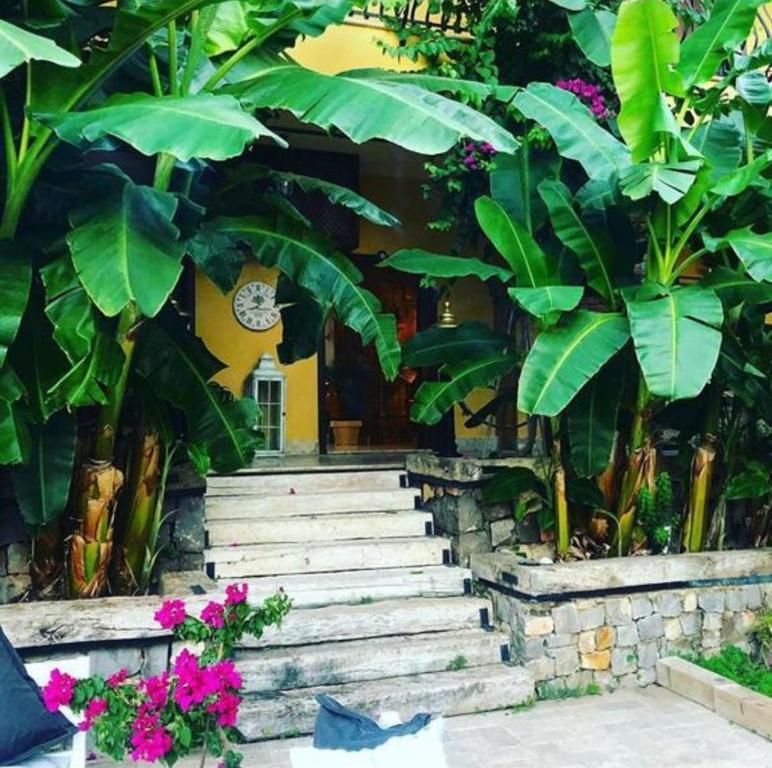 a set of stairs in a garden with plants at Han Boutique Hotel in Sarigerme