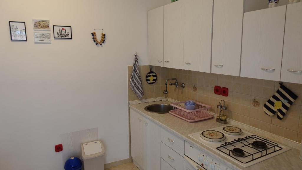 Kuchyň nebo kuchyňský kout v ubytování Vodice Family Apartment