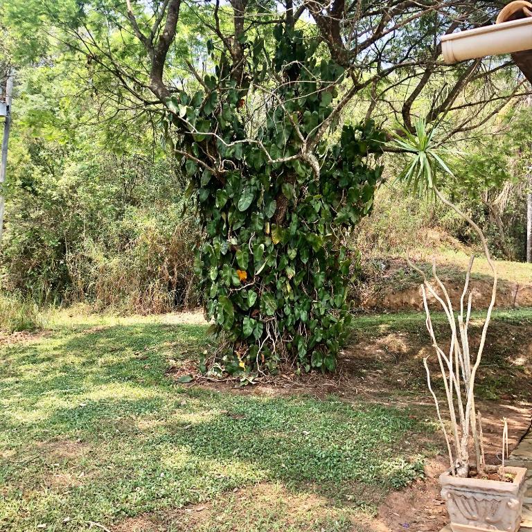  Pousada Quinta da Esperança