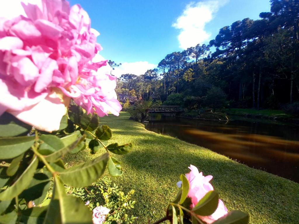 Suíte Beija Flor  Suíte Beija Flor